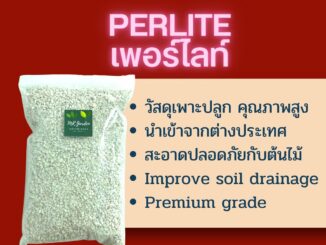 เพอร์ไลท์ Perlite Improve soil drainage วัสดุและส่วนผสมดินเพาะปลูกแคคตัส&ไม้อวบน้ำ (Premium Quality)