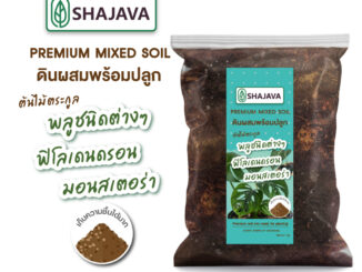 SHAJAVA Premium mixed soil ดินผสมพร้อมปลูก 1 Kg ต้นไม้ตระกูล พลูชนิดต่างๆ ฟิโลเดนดรอน  มอนสเตอร่า ดินพรีเมี่ยม